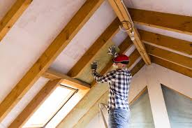 Trusted Litchfield, IL Insulation Removal & Installation Experts